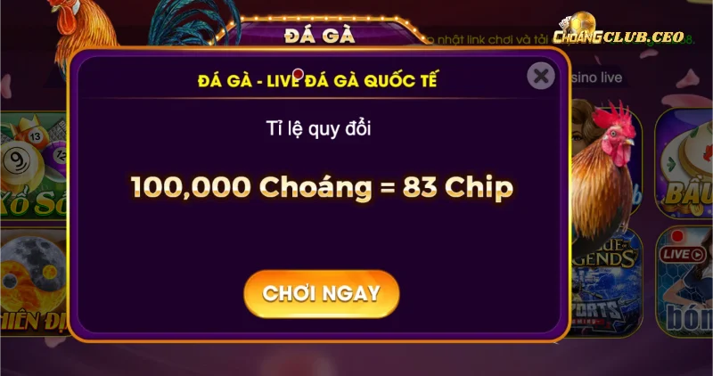 Các cửa đặt trong đá gà Choangclub